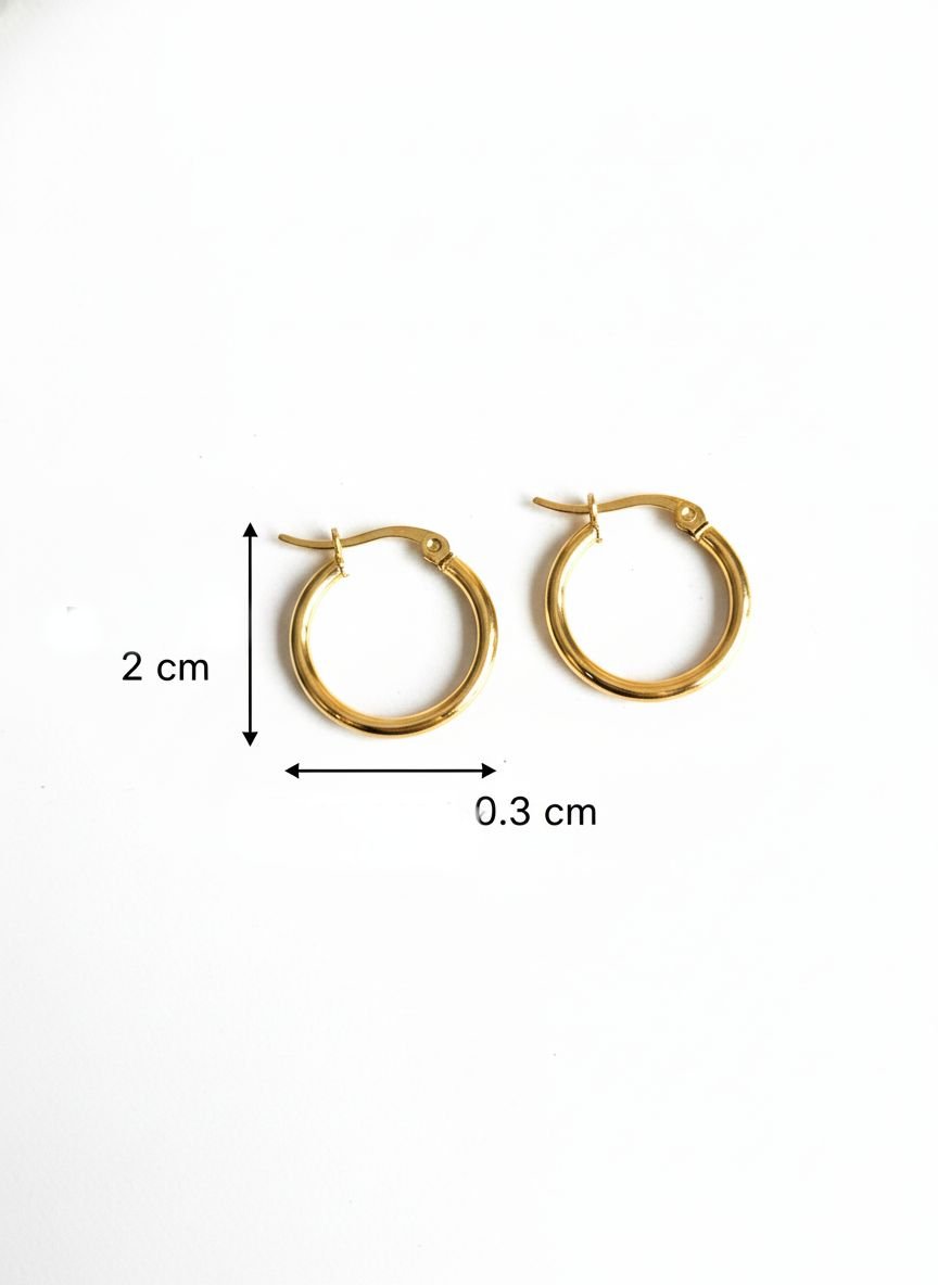 Brinco Argola Pequena Aço Inoxidável Dourada 2 Brilho Na Pele Acessórios Brinco Argola Pequena Aço Inoxidável Dourada - Imagem 2